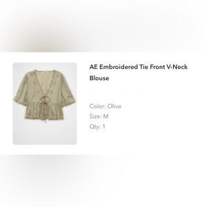 American Eagle Outfitters Beige Embroidered Top